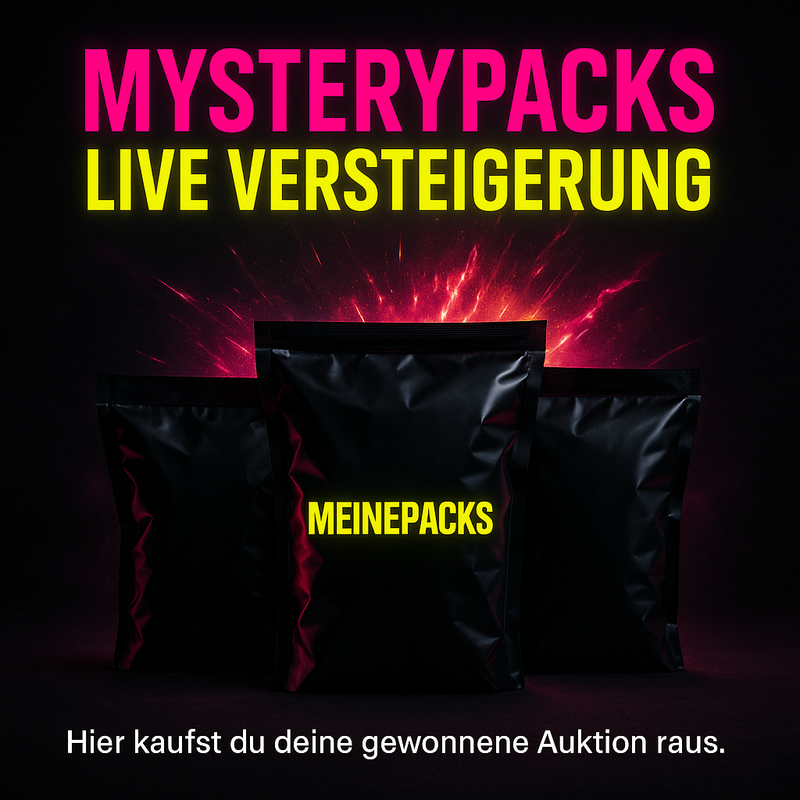 TIKTOK VERSTEIGERUNG-zoom-